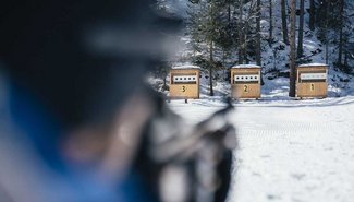 Biathlon in Niederthai
