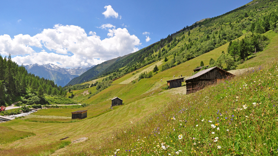 Horlachtal mit Finstertaler Alm