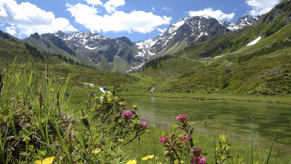 Zwieselbacher Rosskogel